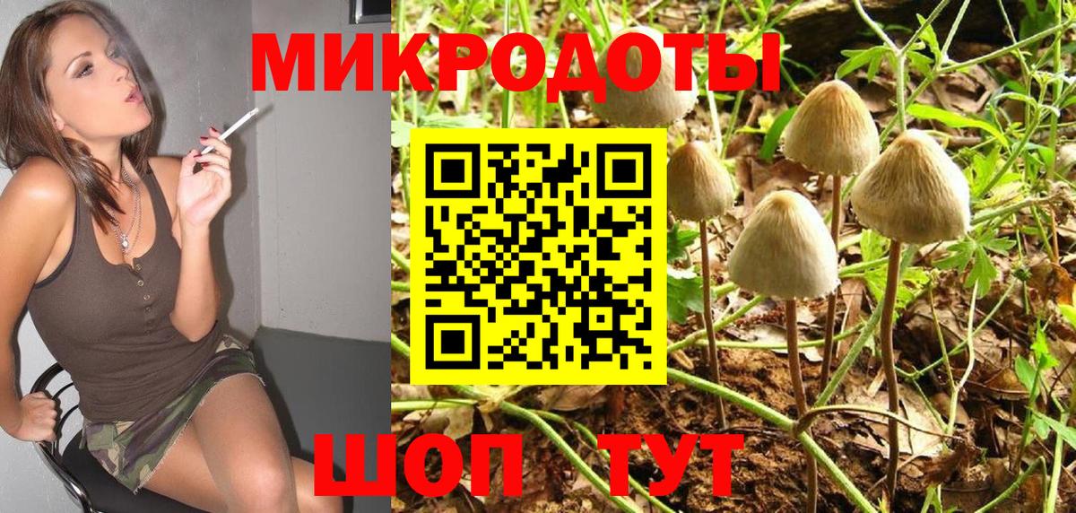 Галлюциногенные грибы ЛСД Северск