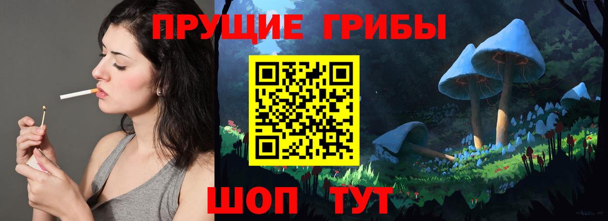 Галлюциногенные грибы ЛСД  цены   Галлюциногенные грибы мицелий  Северск  Вход с VPN 